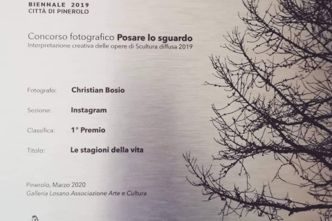 Premio-galleria-Losano-